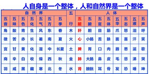 五臟對應五行|五行、五臟、五官、五體、五志對應表